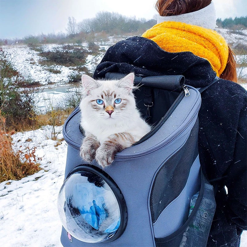 Sac de transport pour chat hublot astronaute avec chat qui prend l'air