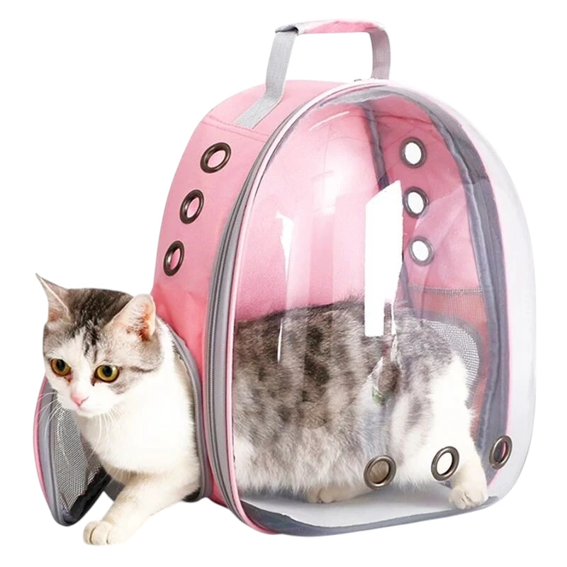 Sac de transport pour chat transparent trape de sortie
