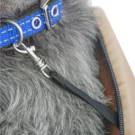 Sac de transport pour chien design et moelleux fixation colleir