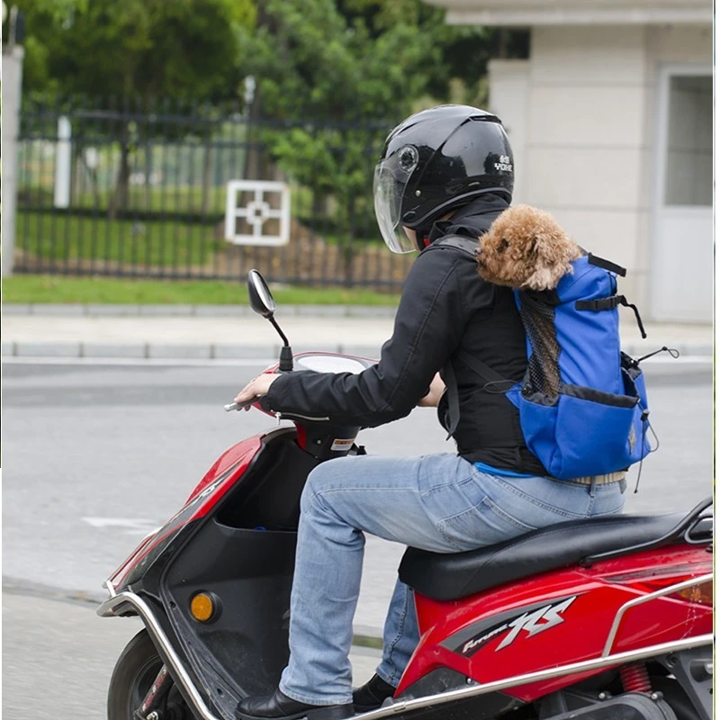 Sac de transport pour chien en randonnée pratique moto