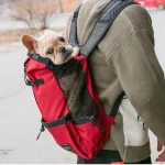 Sac de transport pour chien en randonnée pratique porté dos Sac de transport pour chien en randonnée pratique porté dos
